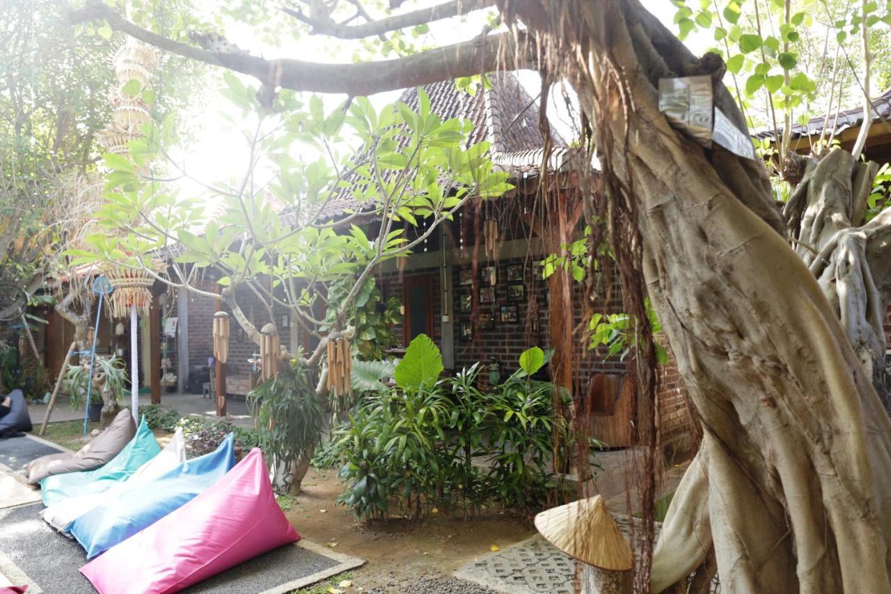 Da Housetel Kuta Vandrehjem Kuta Lombok Eksteriør billede
